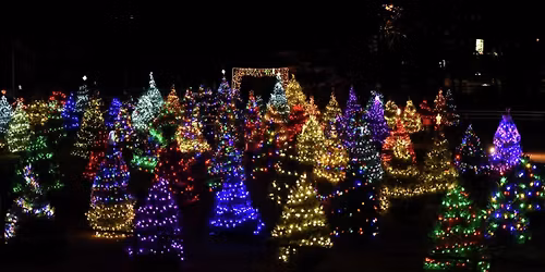 Tribute Tree Lighting Ceremony