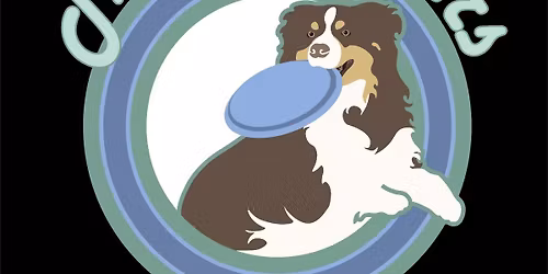 The Bouncerscup \u201826