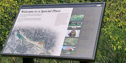 Abram's Creek Wetlands Preserve Walk