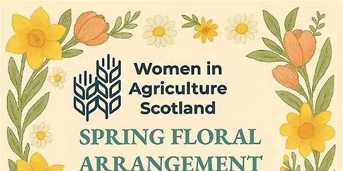 Spring Floral Arrangement Dumfries