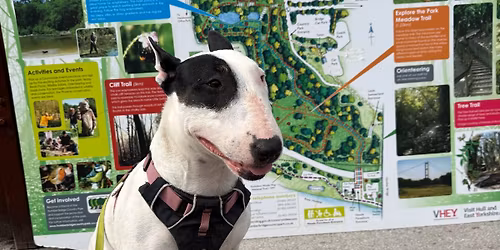 Humber Bridge county park walk