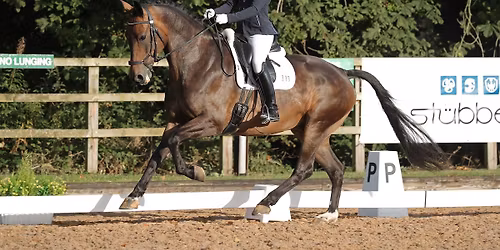 Flatwork\/Gymnastic jumping with Anna Johannson - WRC Members ONLY