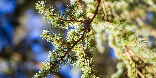 Beginners Photography Class