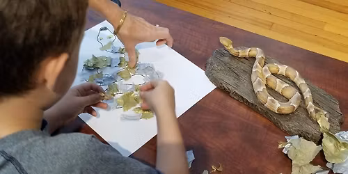 Free Children's Program at the L.W. Paul Living History Farm