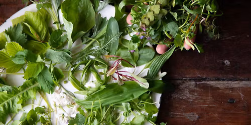 Urban Foraging & Ecology Walk with Edible Alchemy