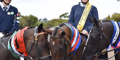 GDPC Meet \u2018n\u2019 Greet BBQ