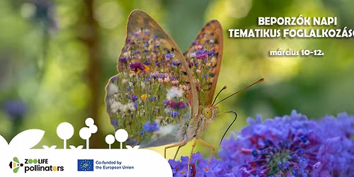 Beporz\u00f3k napi tematikus foglalkoz\u00e1sok