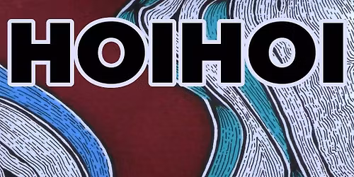 HOIHOI Live at the Flying Nun Store