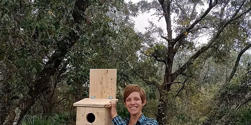Screech Owl Nest Box Building Workshop