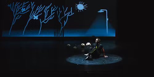 Spitfire company: Vivat Messi