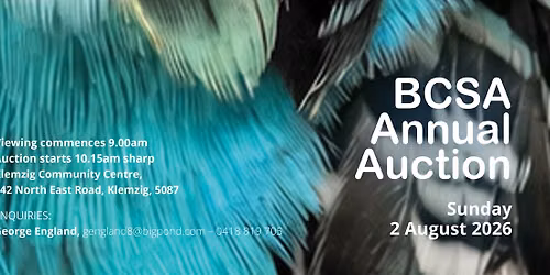 BCSA Annual Auction 2026