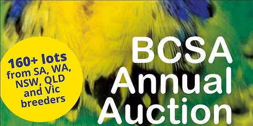 BCSA Annual Auction 2026