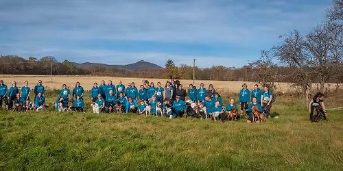 Canicross For Beginners