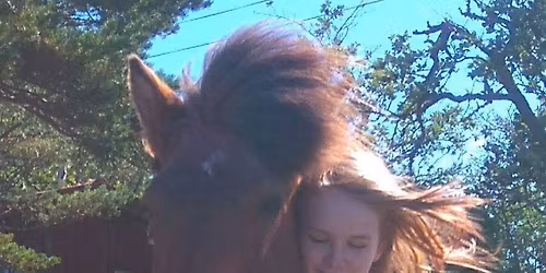 \ud83d\udca5 Barn- och ungdomsl\u00e4ger \ud83d\udca5