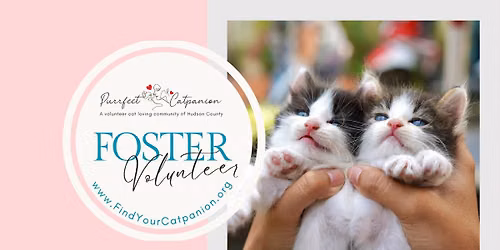 Cat Adoption Event