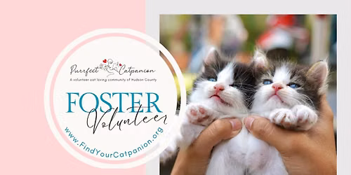 Cat Adoption Event