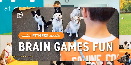 Canine Fitness Month: Brain Games!