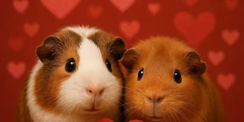 Valentine udstilling i Kreds 1