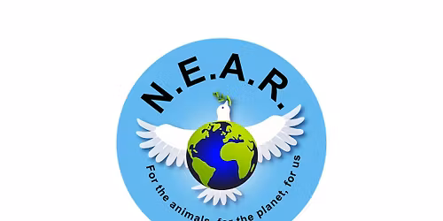 World Day For Animals In Laboratories