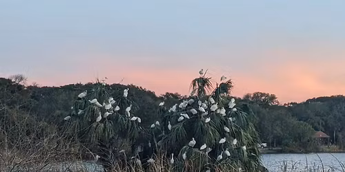 Mindful Birding at Sunset