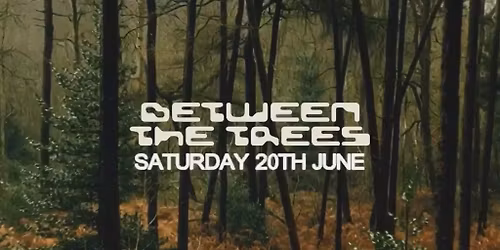 SUMMIT Festival \/\/ Between The Trees II