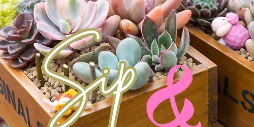 Sip & Succulent Party