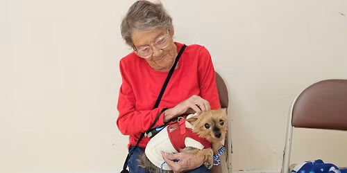 Low Cost Veterinary Wellness Clinic