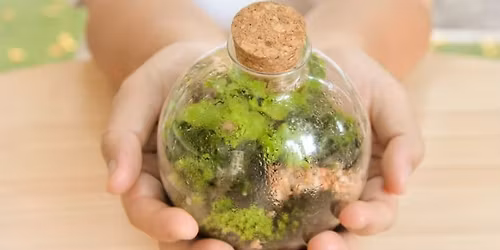 Bioactive Terrarium Workshop