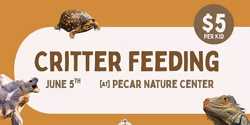 Critter Feeding - June