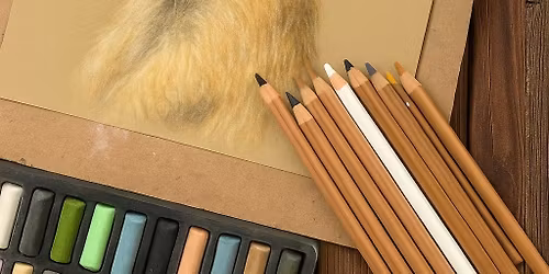 Meerkat Magic - Pastel Workshop