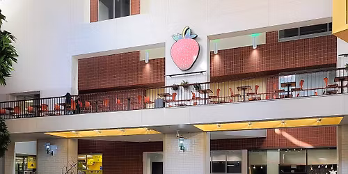 HBG Flea - April 2026