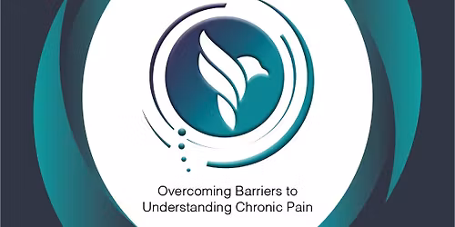 Idiots Guide to Pain Mechanisms