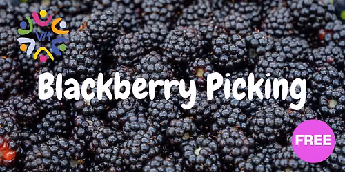 Blackberry Picking