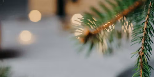 {IN PERSON} EVERYDAY MAGIC: YULE EDITION