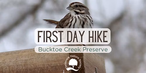 First Day Hike ~ Bucktoe Creek Preserve