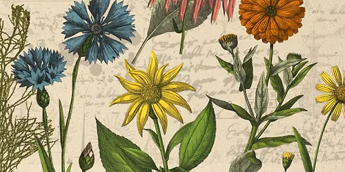 Conversations with Thomas Jefferson, John Adams, and Benjamin Franklin