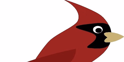 The Cardinal Kids Drive For HOPE