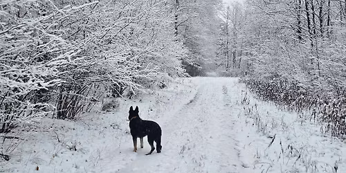 Spotkanie \u015bwi\u0105teczne