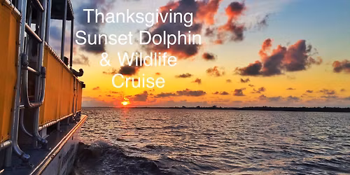 Thanksgiving Sunset Dolphin & Wildlife Cruise