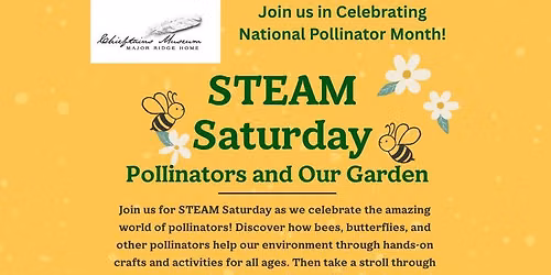 STEAM Saturday: Pollinators and Our Garden