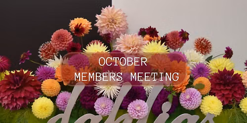 October 2026 - Members Meeting
