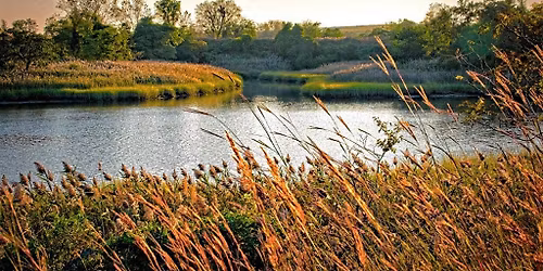 SI Bio-Blitz FrogWatch USA Monitoring