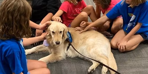 Meet and Greet with Comfort Dog Hagar