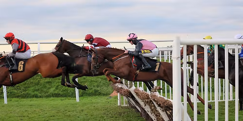 PricedUp Afternoon Racing