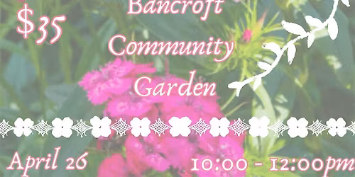 Weeds as Medicine: Forgotten Allies