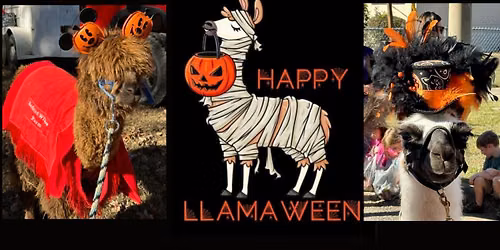 \ud83c\udf83 Redbird Willow Farm\u2019s Annual Halloween Dance Party \ud83c\udf83
