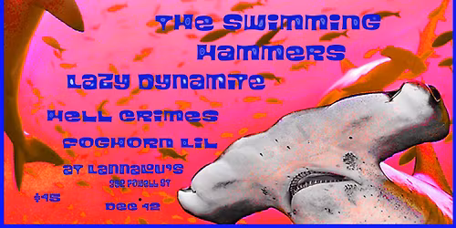 The Swimming Hammers and friends at Lanalou's