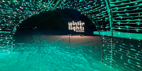 Winterlights at Eleanor Cabot Bradley Estate