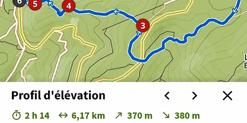 \ud83c\udf3bBalade joviale de Janvier 2026\ud83c\udf3b
