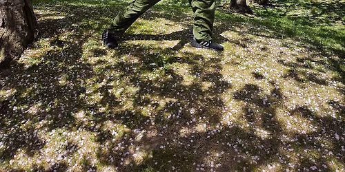 Tai Chi with Blaise Baillargeon 